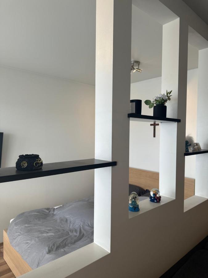 Entire Apartment Reykjavík Eksteriør bilde